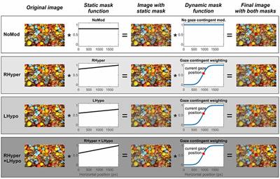 Unbalancing the Attentional Priority Map via Gaze-Contingent Displays Induces Neglect-Like Visual Exploration